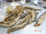 DSC08996 (Copiar).JPG