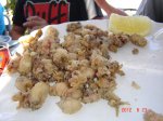 DSC08998 (Copiar).JPG