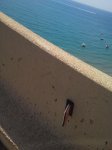 2012-06-23 12.09.17.jpg