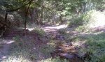 IMAG0083.jpg
