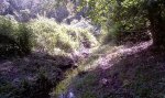 IMAG0084.jpg