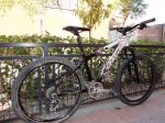DSC00154.jpg