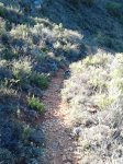 sendero1.jpg