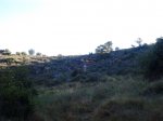 sendero 2.jpg