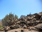 DSCN3279.jpg