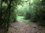 IMG_0552.jpg