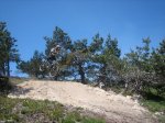 IMG_4014.redimensionado.JPG