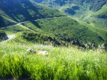 DSC00278.jpg