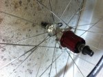 rueda 002.jpg