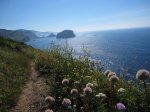IMG_1144.jpg