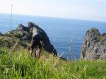 IMG_1186.jpg