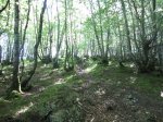 MTB JUNIO 2012 019 (Copiar).JPG