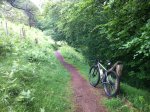 img1064a.jpg