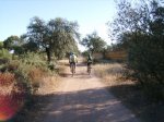 IMGP0014 (Copiar).JPG