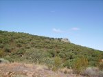 IMGP0051 (Copiar).JPG