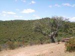 IMGP0076 (Copiar).JPG