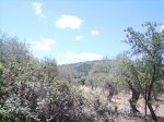 IMGP0087 (Copiar).JPG
