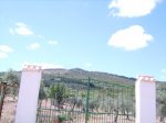 IMGP0089 (Copiar).JPG