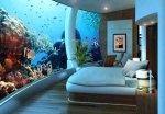 acuario.jpg