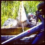 2012-06-23%u0025252010-37-47.JPG