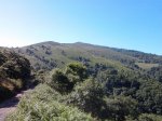 2012-06-26 10.50.18.jpg
