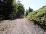 2012-06-26 13.54.33.jpg