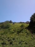 2012-06-26 15.43.14.jpg