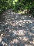 IMG_0696.JPG