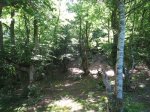 IMG_0703.JPG