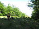 IMG_0704.JPG