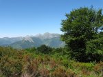 IMG_0712.JPG