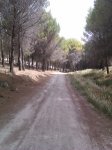 IMAG0096.jpg