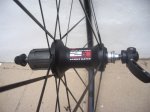 IMGP4500.JPG