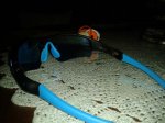 2012-06-29 10.28.56.jpg