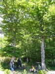 IMG_0722.JPG