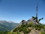 IMG_0730.JPG