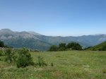 IMG_0731.JPG