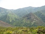 IMG_0734.JPG