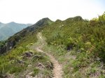 IMG_0736.JPG