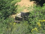 IMG_0747.JPG