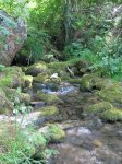 IMG_0774.JPG