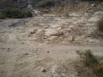 DSC00080.jpg