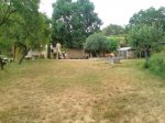 DSC08678.JPG