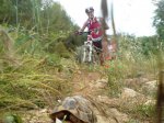 DSC08679.JPG