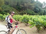 DSC08680.JPG