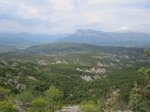 IMG_4089.jpg