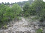 IMG_4099.jpg