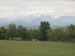 IMG_8105.jpg