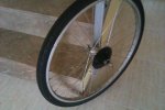 rueda elit.jpg