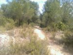 IMG-20120701-WA0001.jpg